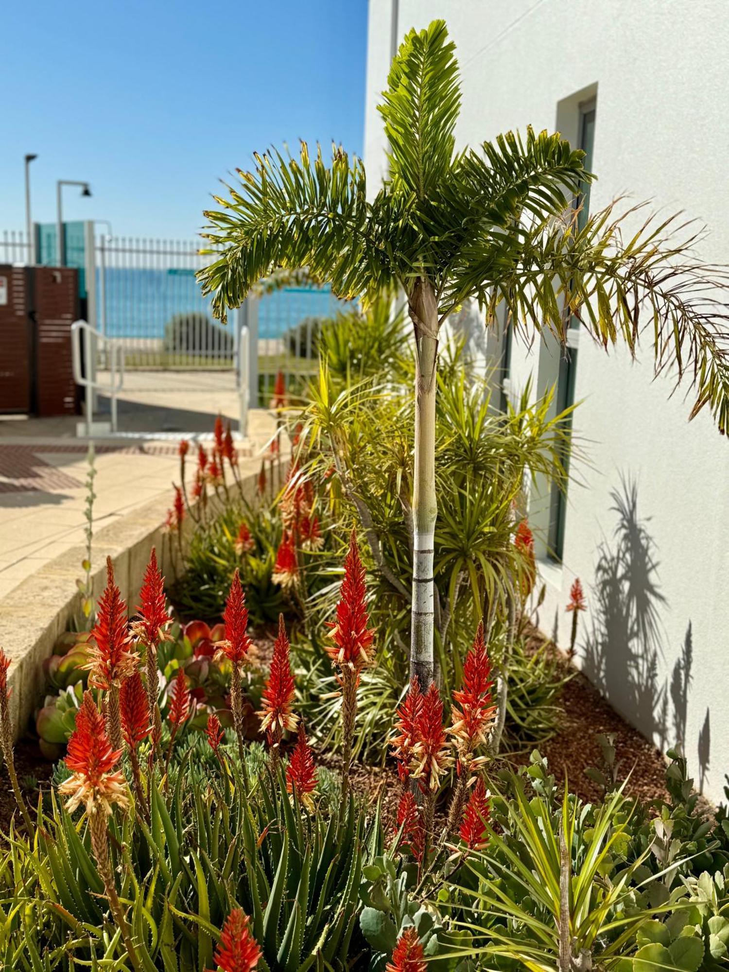 An Ocean,Beachfront And Pool View Apartment 210 Mandurah Exterior foto